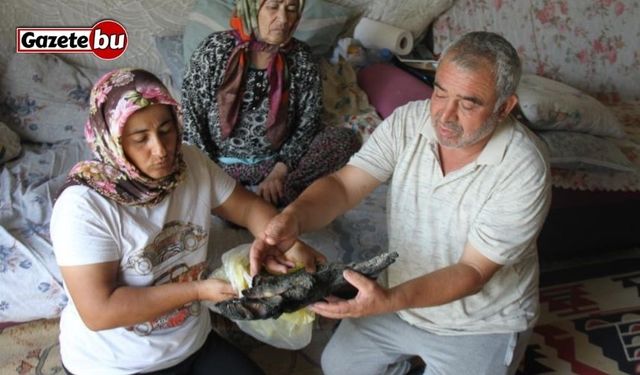 Yangında depoda sakladıkları 90 bin TL kül olan aile Merkez Bankası'na başvurdu