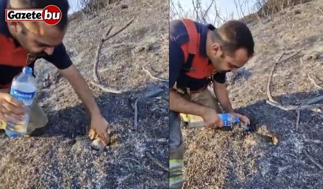 İtfaiyeciden, alevler içinde mahsur kalan kaplumbağaya can suyu