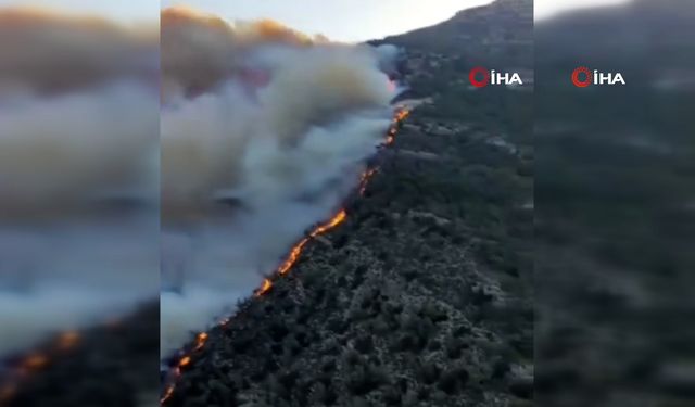 Yangında oyuncaklarını bırakıp yardım ettiler