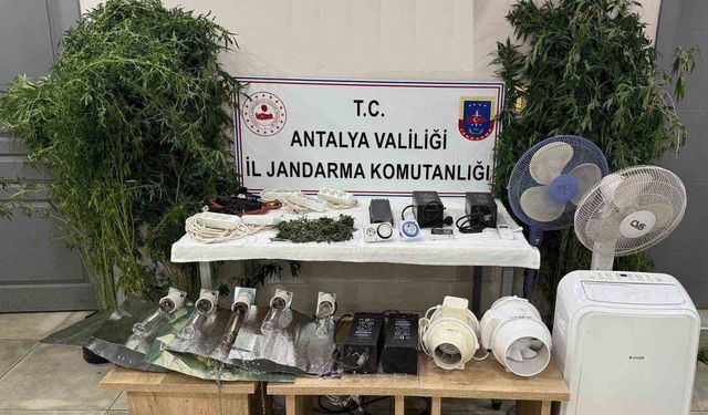 Evini uyuşturucu serasına çevirdi, kaçamadı