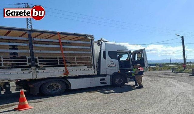 Jandarma ekiplerinden düzensiz göçmen operasyonu