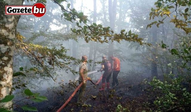 Kırklareli’de orman yangını kısa sürede söndürüldü