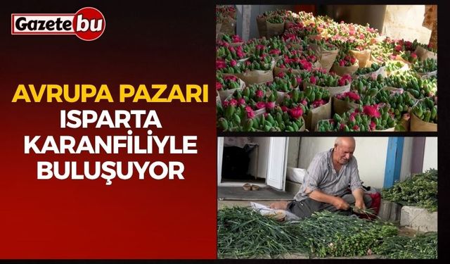 Avrupa Pazarı Isparta Karanfiliyle Buluşuyor