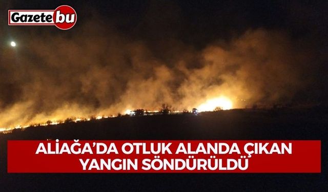 Aliağa’da otluk alanda çıkan yangın söndürüldü