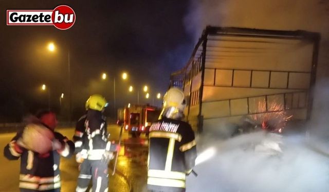 Kuruyemiş yüklü tır alev alev yandı