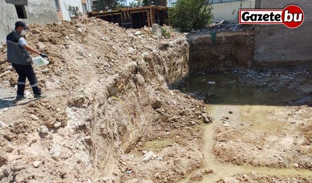 Haşereyle mücadele aralıksız devam ediyor
