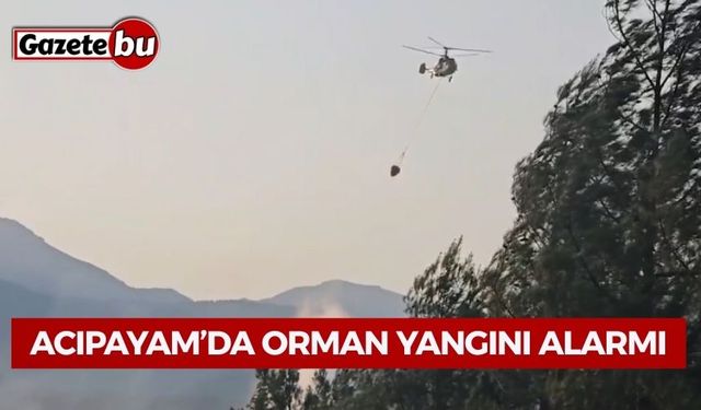 Acıpayam’da Orman Yangını Alarmı