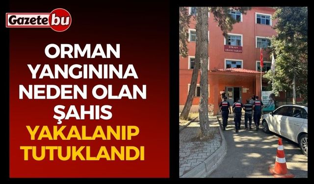 Orman yangınına neden olan şahıs yakalanıp tutuklandı