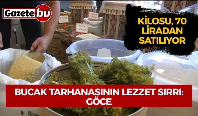 Bucak Tarhanasının Lezzet Sırrı: Göce