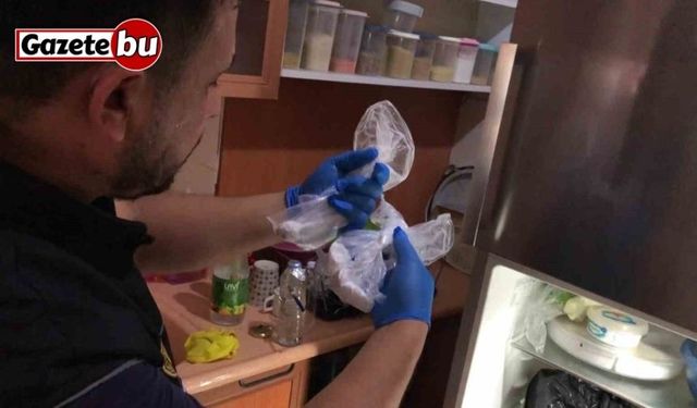 Kokain buzdolabından çıktı