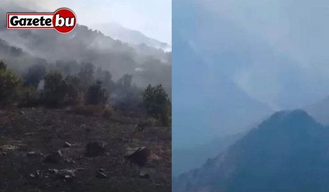 Yüksekova Dağlıca köyünde orman yangını