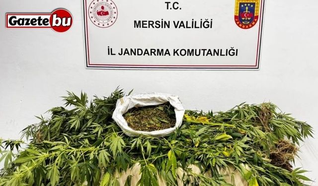 Mersin’de uyuşturucu operasyonu