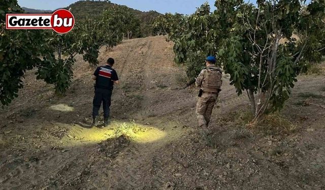 Jandarma incir hırsızlarına geçit vermiyor