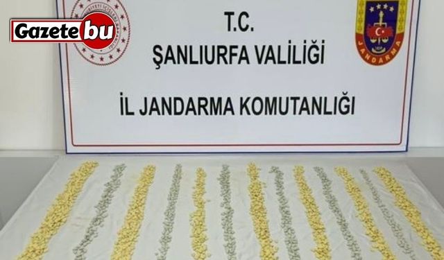 MİT tespit etti, jandarma operasyon düzenledi