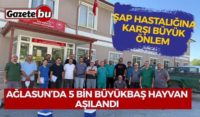 Ağlasun’da 5 Bin Büyükbaş Hayvan Şap Hastalığına Karşı Aşılandı