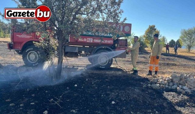 Anız yangını ormana sıçramadan söndürüldü