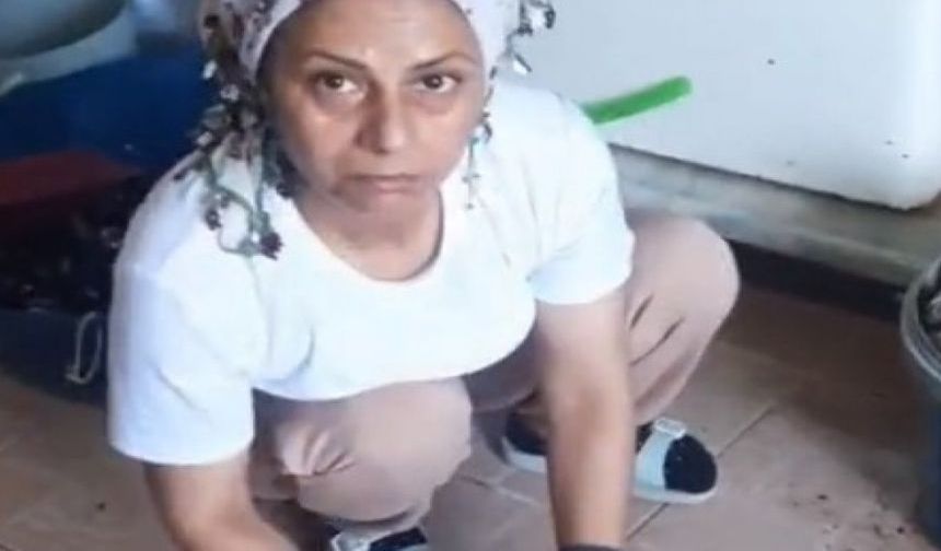 "Midye Temizleme Tartışması: Sosyal Medyanın Gündeminde"