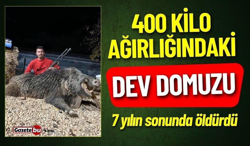 400 Kilo Domuzu 7 Yıl Sonunda Vurabildi