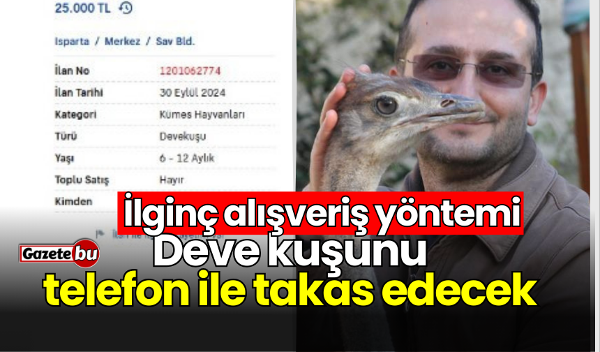 İlginç alışveriş yöntemi: Deve kuşunu telefonla takas edecek