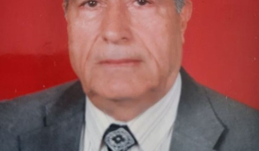 Cumhuriyetle yaşlı çınar hayatını kaybetti