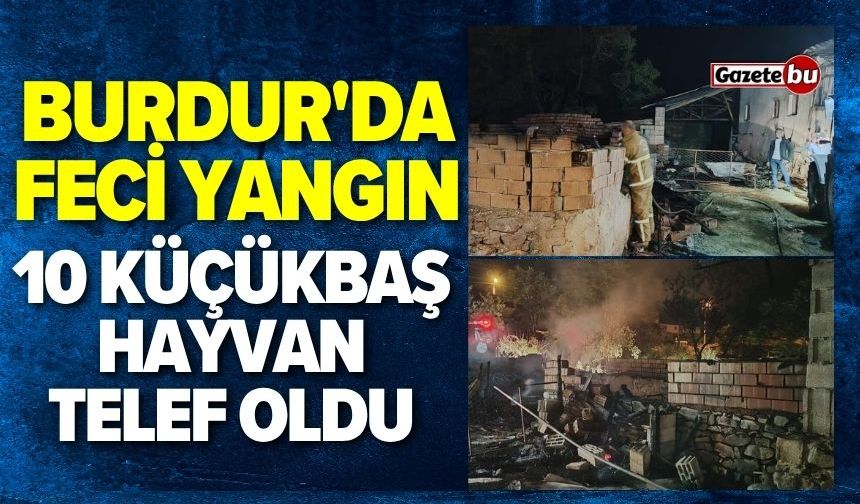 Burdur'da feci yangın: 10 küçükbaş hayvan telef oldu