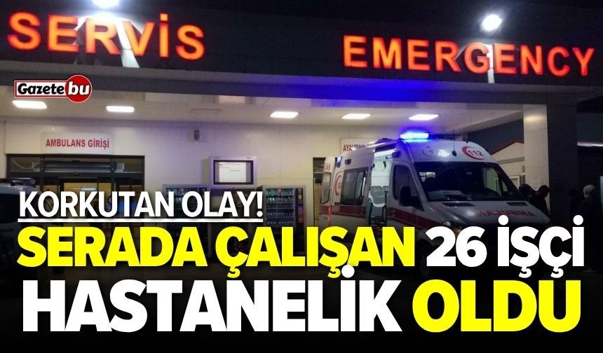 Serada çalışan 26 işçi hastanelik oldu
