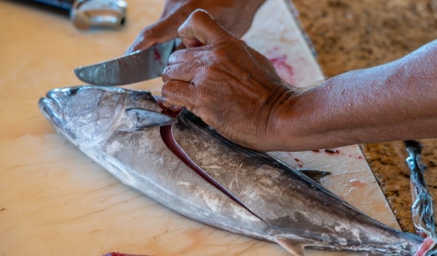 Palamut Balığı En Kolay Nasıl Temizlenir Püf Noktaları Neler