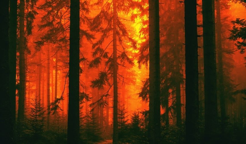 Yangınlara Neden Olan Doğal Faktörler Nelerdir