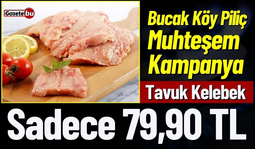 Resmi Gazete'de Yayımlandı 2025'E Kadar Doğal Gaz Sayaçları Değişecek-1