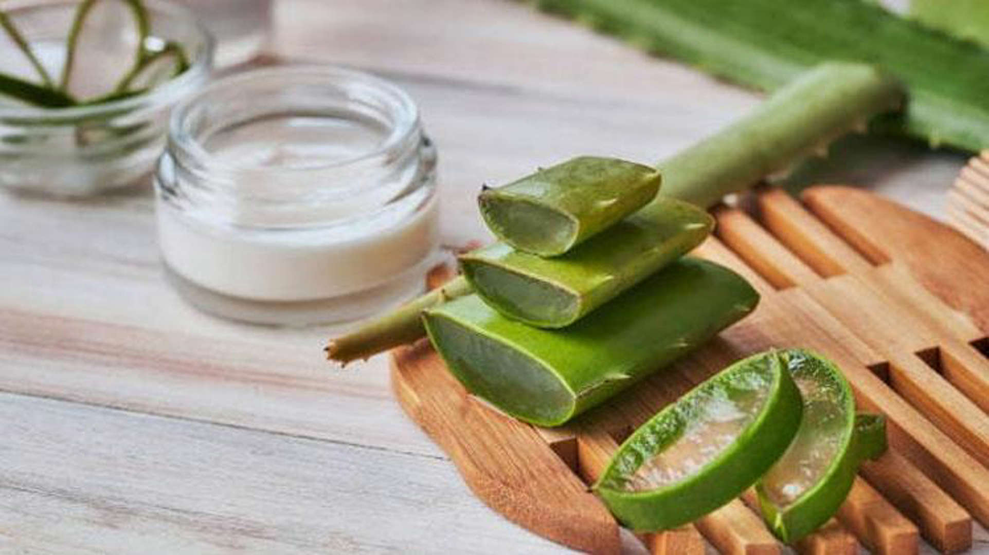 Aloe Vera'nın faydalarını duyunca şaşıracaksınız. Detaylar haberimizde