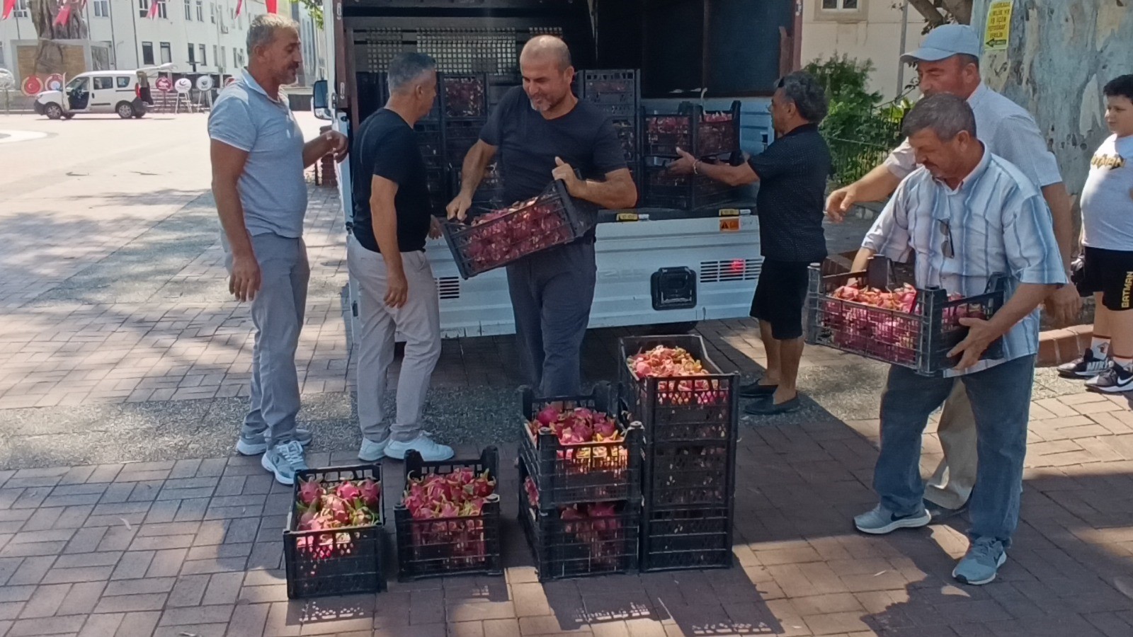 Aracılara Kızan Üretici Ejder Meyvesini Bedava Dağıttı (2)