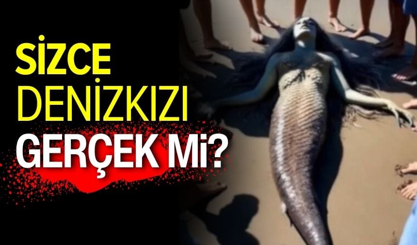 Denizkızı gerçek mi?