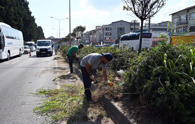 Yalova Belediyesi’nden Orta Refüjlere Temizlik ve Budama!-3