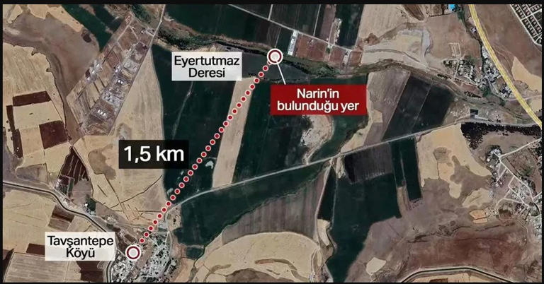 Narin'in Abisi Baran Güran'dan Açıklama: Allah İçin Yapmayın