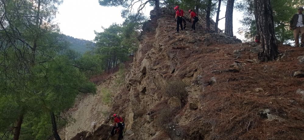 Dağda Mahsur Kalan Keçilerin Yardımına Jandarma Koştu-1