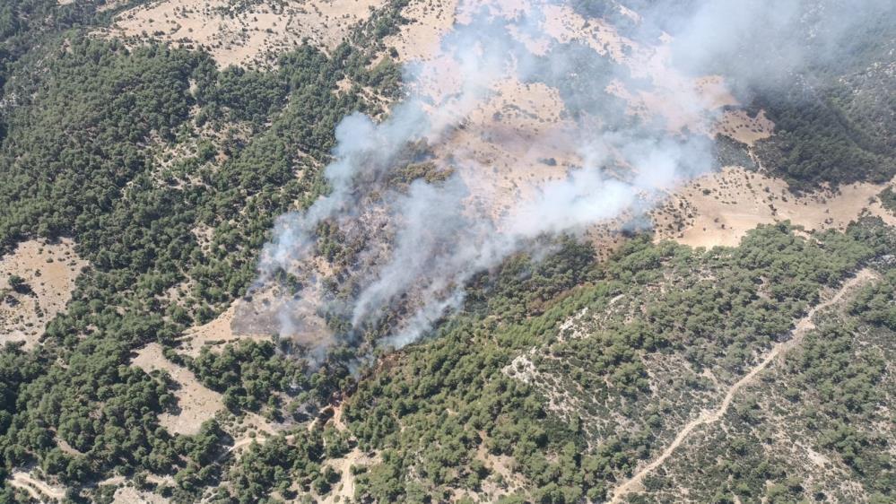 Orman Yangını Kontrol Altında: 17 Hektar Alan Zarar Gördü