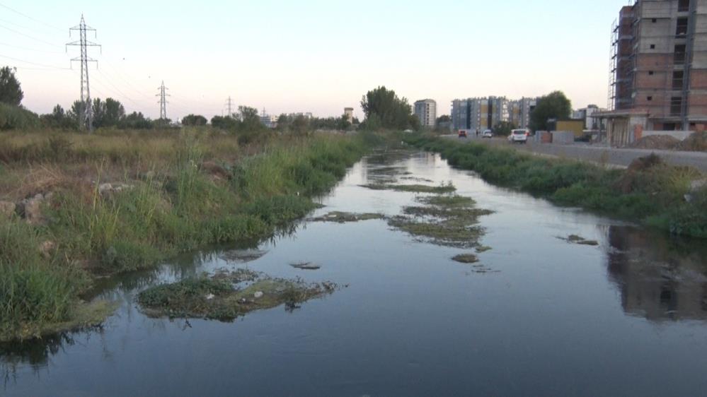 Kanal Kenarında Kimliği Belirsiz Erkek Cesedi Bulundu-1