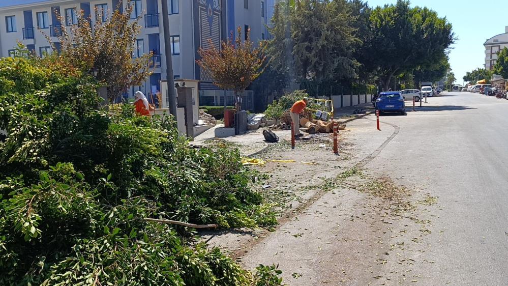 Tur Otobüsü Kazası Sürücü Hayatını Kaybetti