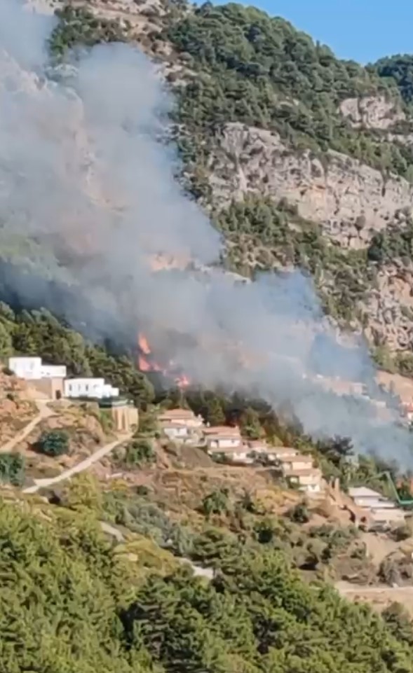 Alanya’da Yerleşim Alanlarına Yakın Orman Yangını-1