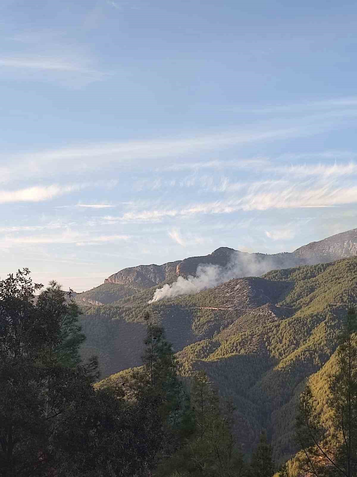 Gazipaşa'da Ormanlık Alanda Yangın Kontrol Altına Alındı-1