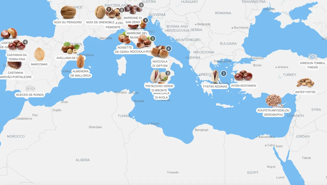 Dünyanın En İyi 10 Kuruyemişi: Türkiye’den İki Eşsiz Lezzet