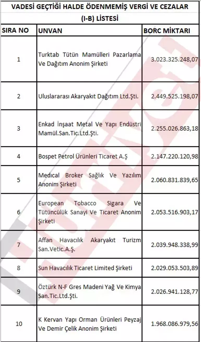 Hazine ve Maliye Bakanlığı Vergi Yüzsüzlerini Açıkladı