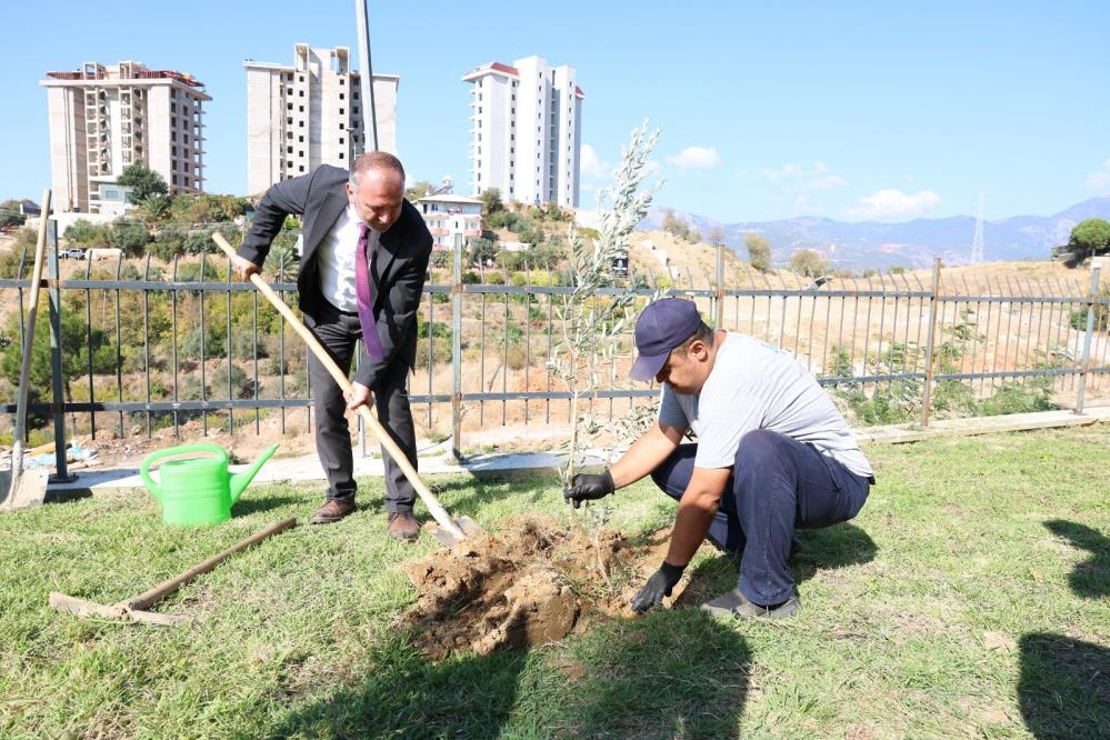 Alkü'de Zeytin Ağacı Dikimi Yapıldı 1