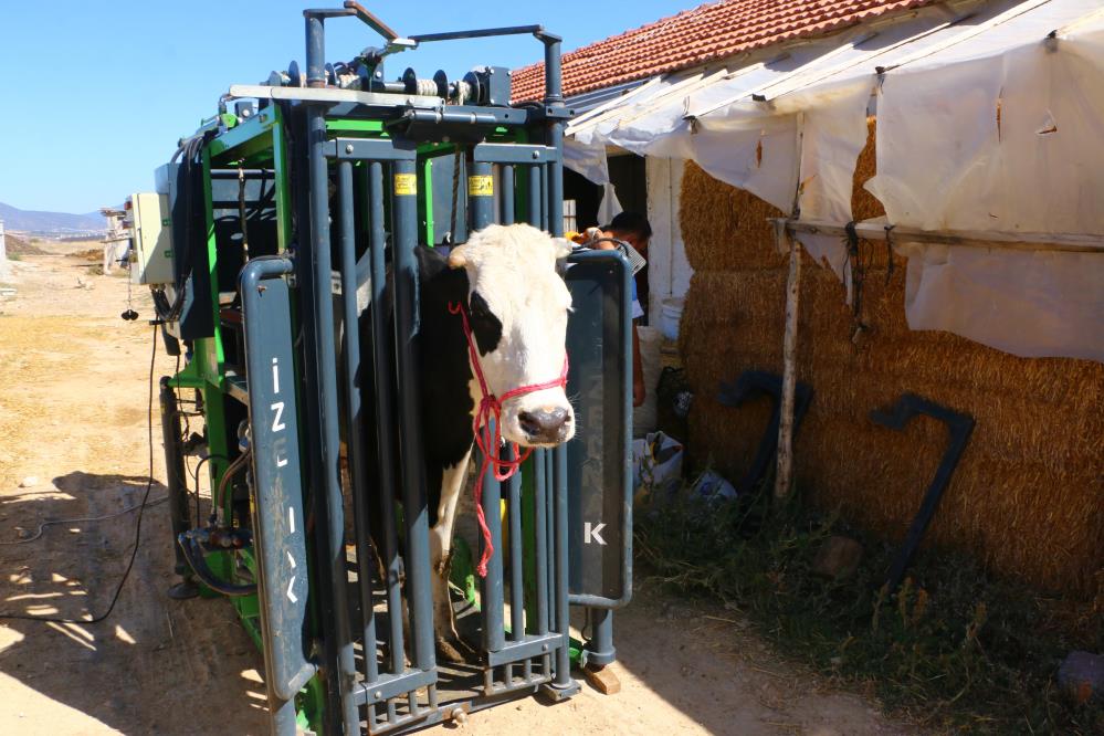 Besiciler Için Büyük Kolaylık Büyükşehir Belediyesi'nden Tırnak Bakım Hizmeti