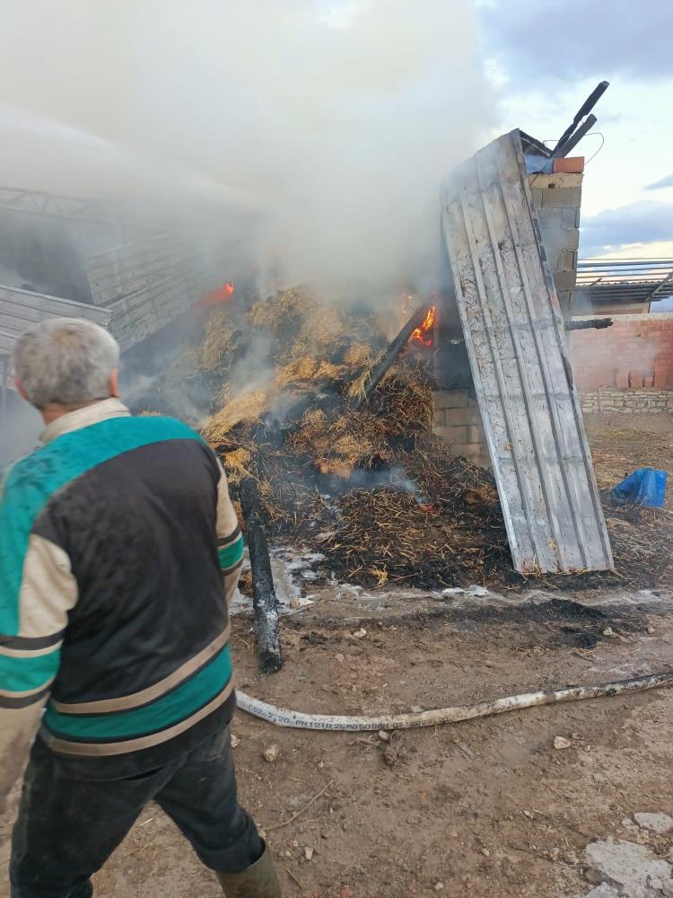 Besihane Yangını 17 Hayvan Telef Oldu, Tonlarca Yem Yanarak Küle Döndü 4