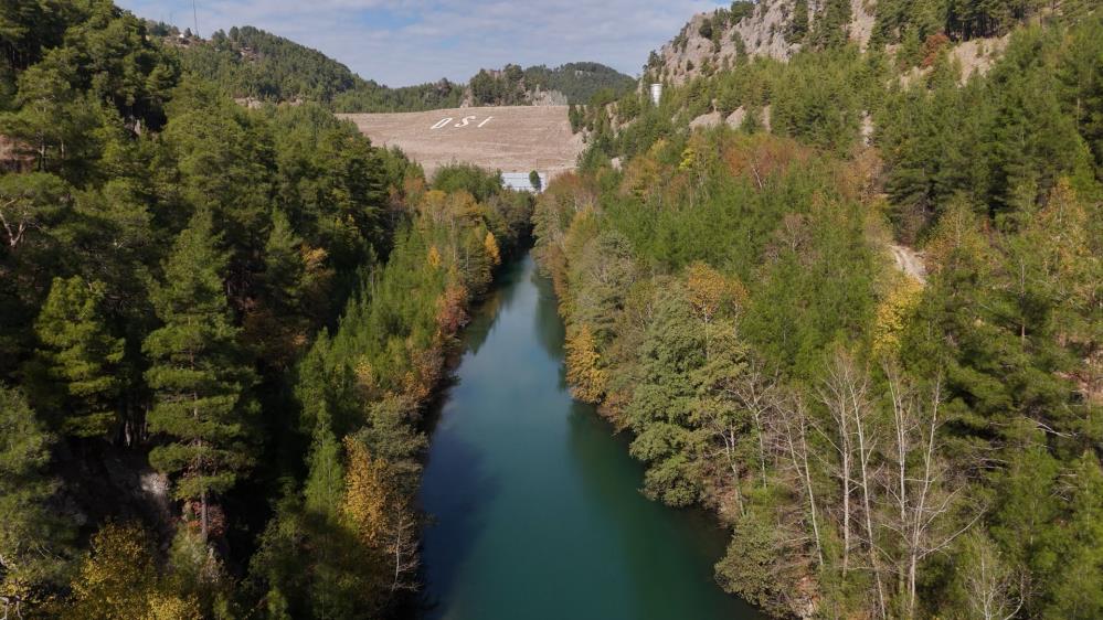 Dünyada Ve Türkiye'de Sadece Muğla Ve Burdur'da Bulunuyor (1)