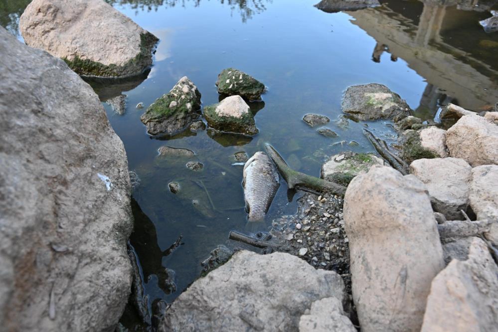 Organize Sanayi Bölgeleri Gediz Nehri'ni Kirletiyor 2