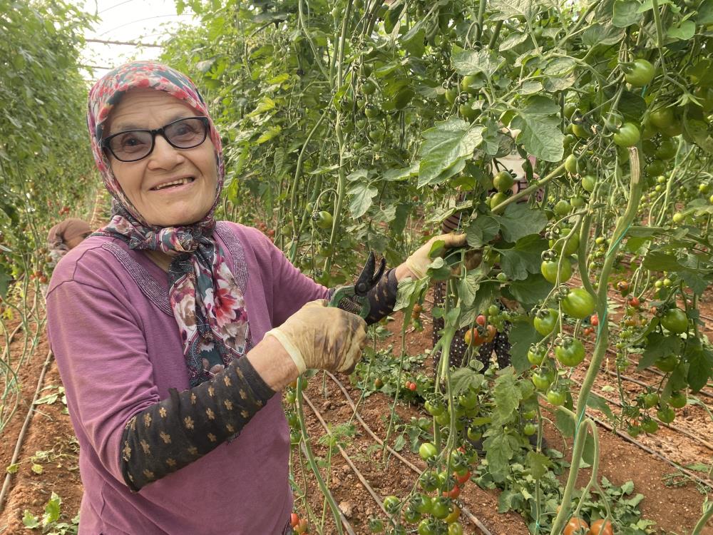 Sevim Teyze Kocam 5 Çocukla Beni Bıraktı Ama Ben Hep Güçlü Kaldım