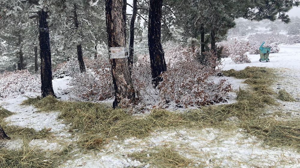 Kar Kalınlığı Burdur'da 50 Santime Ulaştı Eşeler Yaylası’nda Geyiklere Özel Yemleme Faaaliyeti 5