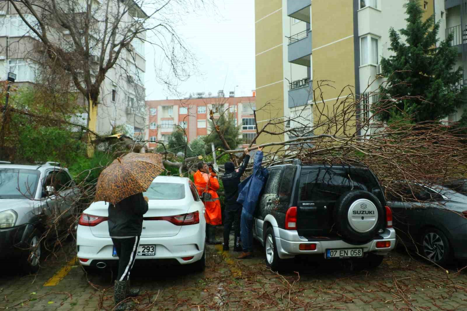 Şiddetli Yağış Ve Fırtına Ağaçlar Ikiye Bölündü 2